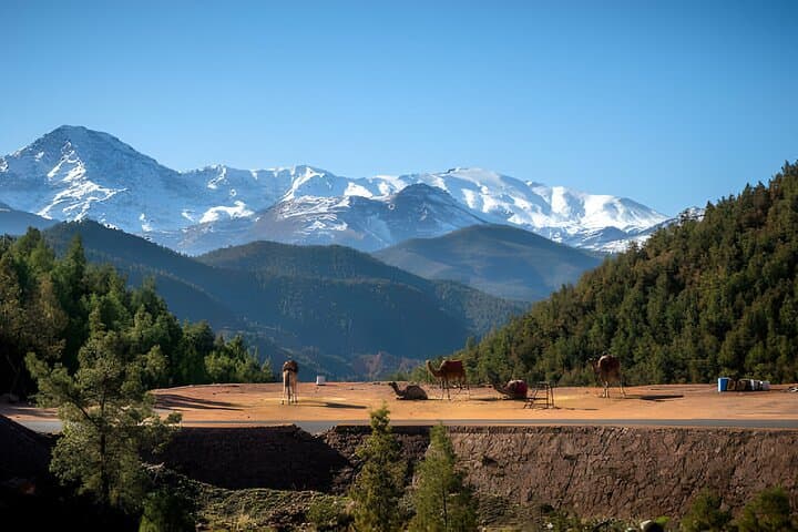 Ourika Valley & Setti Fatma Waterfall Day Trip from Marrakech