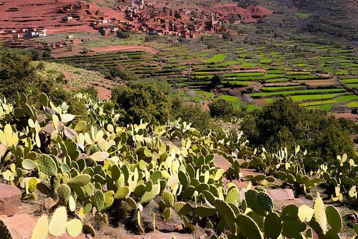 Ourika Valley & Setti Fatma Waterfall Day Trip from Marrakech photo 4