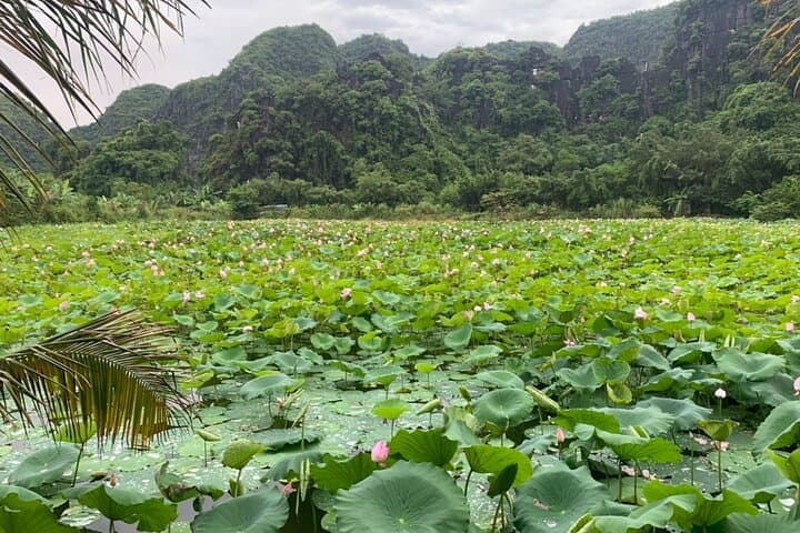 Ninh Binh Sunset Motobike Tour — Mua Cave, Ngoa Long Viewpoint & Hoa Lu After Dark photo 2