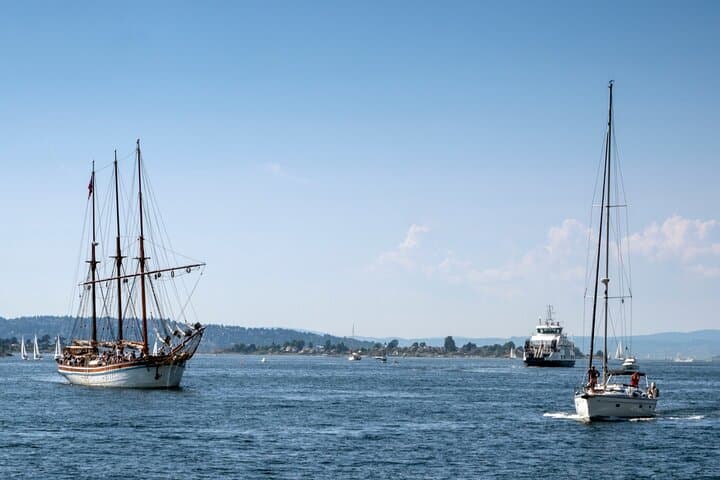 Oslo Old Town Walking Tour & Oslo Fjord Cruise — Private Guided Experience