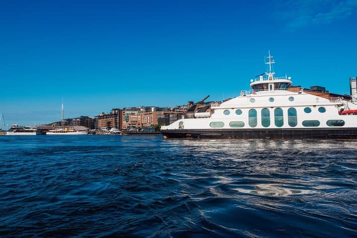 Oslo Old Town Walking Tour & Oslo Fjord Cruise — Private Guided Experience photo 4