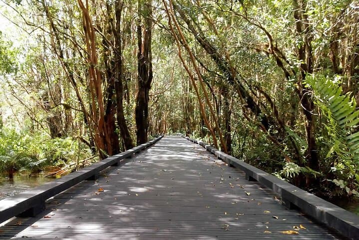Termas del Sol & Cochamó Day Tour from Puerto Varas — Hot Springs, Puelo River & Panoramic Views photo 4