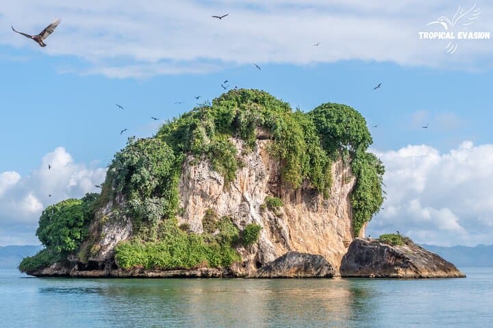 6-Day Private Tour from Bayahibe to Samaná: Saona Island, Santo Domingo & Los Haitises photo 6
