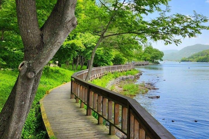 Nami Island & Morning Calm Garden: Private Day Tour from Seoul photo 2