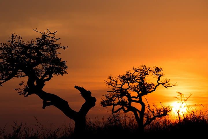 Exclusive Hluhluwe‑iMfolozi Full‑Day Private Big 5 Safari from St Lucia photo 3