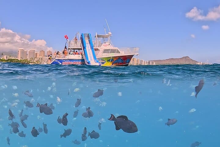 Waikiki Deluxe Snorkel & Wildlife Cruise: Slide, Swim, Spot Turtles and Dolphins