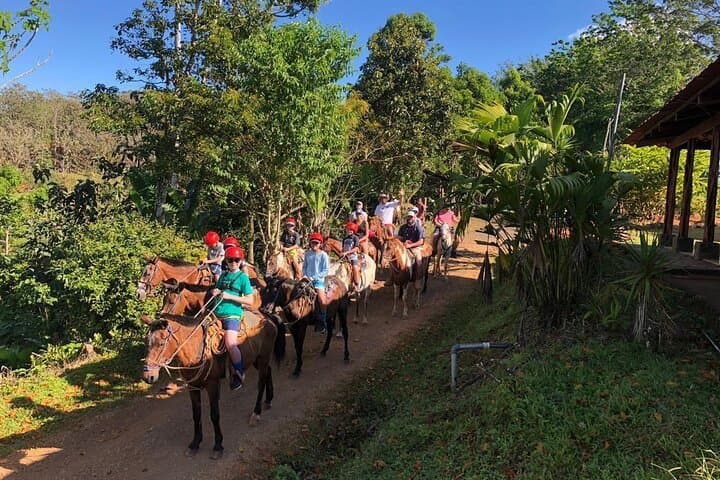 Horseback Riding to Bijagual Waterfall from Jaco — 3-Hour Trail & Swim