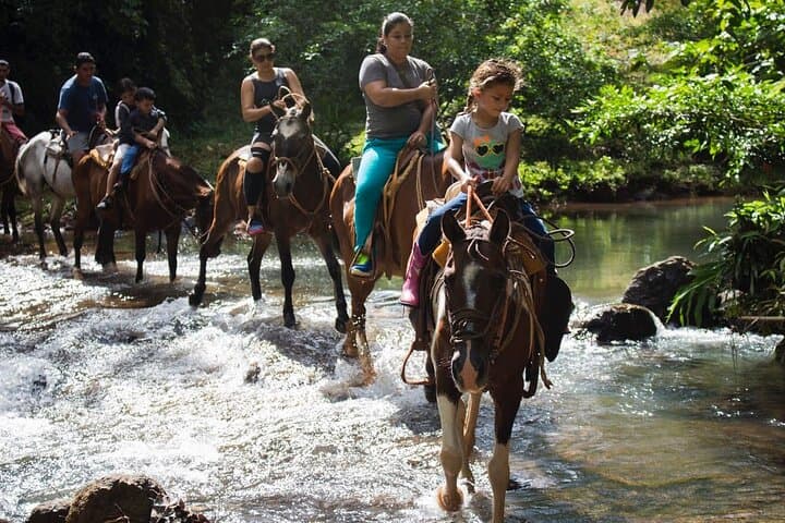 Horseback Riding to Bijagual Waterfall from Jaco — 3-Hour Trail & Swim photo 2