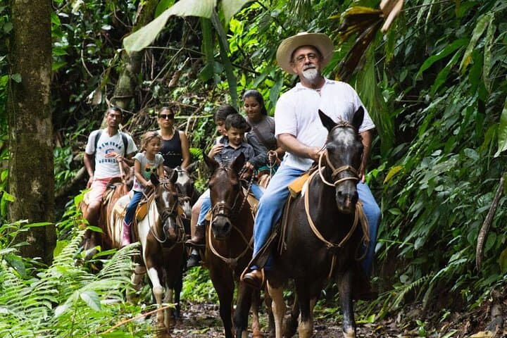 Horseback Riding to Bijagual Waterfall from Jaco — 3-Hour Trail & Swim photo 3