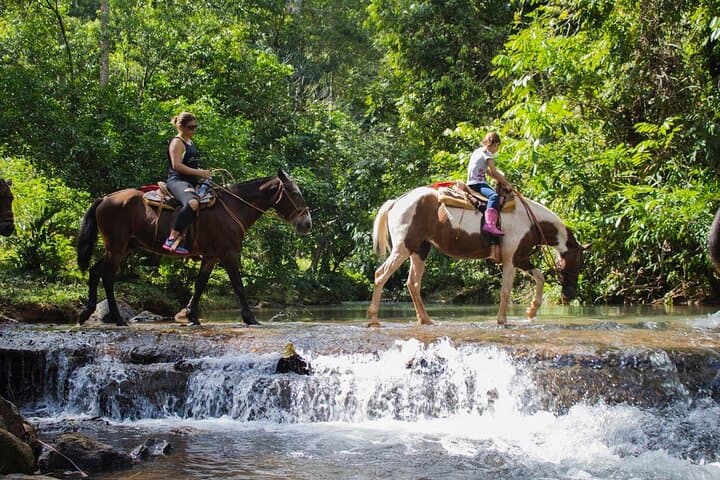 Horseback Riding to Bijagual Waterfall from Jaco — 3-Hour Trail & Swim photo 4