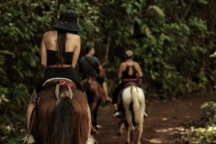 Horseback Riding to Bijagual Waterfall from Jaco — 3-Hour Trail & Swim photo 6