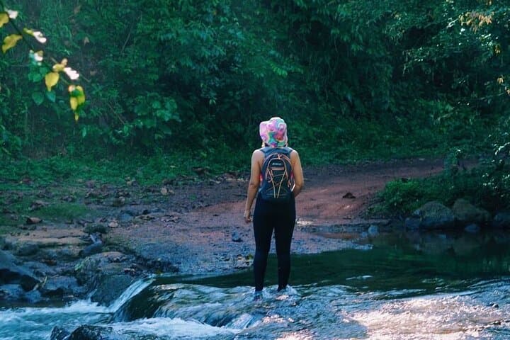 Hiking to Bijagual Waterfall from Jaco — Trails, Pools & Wildlife photo 2