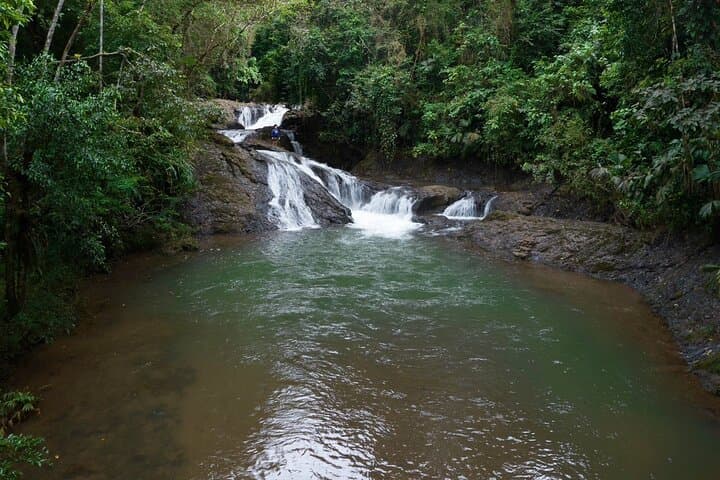 Hiking to Bijagual Waterfall from Jaco — Trails, Pools & Wildlife photo 4