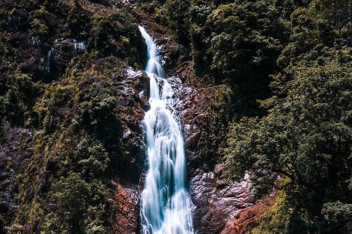 Hiking to Bijagual Waterfall from Jaco — Trails, Pools & Wildlife photo 5