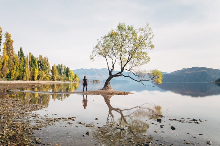 Arrowtown and Wanaka Highlights Tour from Queenstown — Half-Day Scenic Small-Group Drive