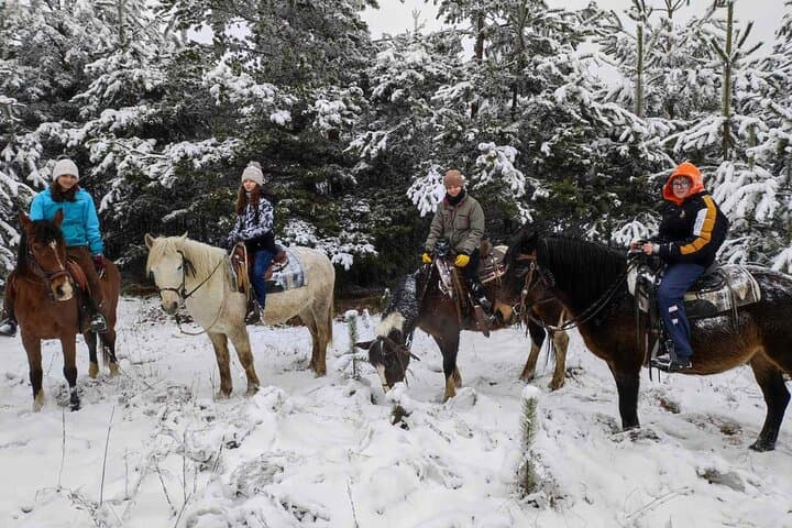 Half-Day Sofia Adventure: Nevsky Cathedral, Vitosha Kopitoto & Boyana with Horse Ride photo 6