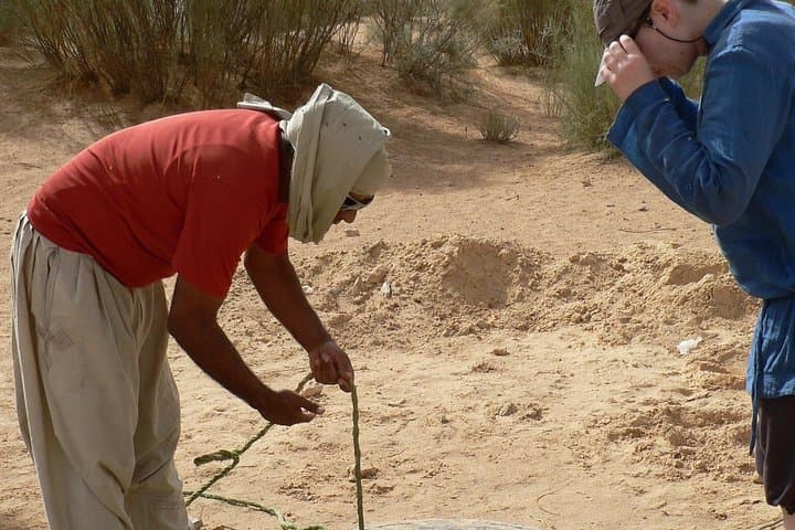 7-Day Camel Trek to Lake Houidat — Grand Erg Oriental Desert Caravan photo 3