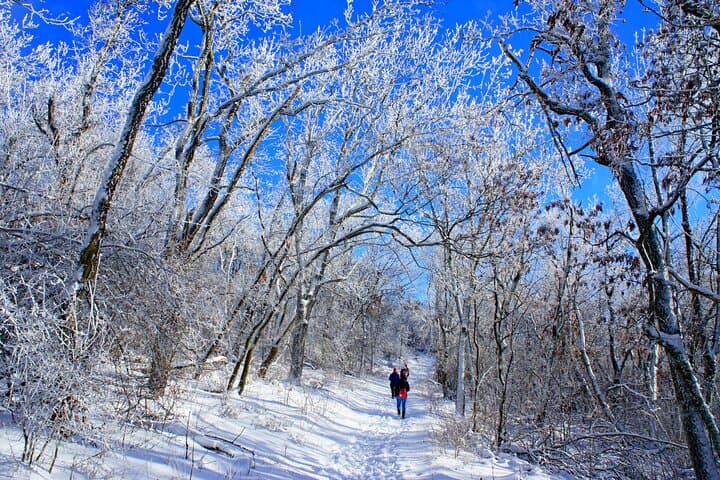 Buda Hills Hike: 4-Hour Guided Walk from Budapest Metro