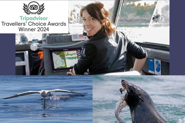 Dunedin Wildlife Cruise: Albatross, Seals & Otago Harbour Scenic Tour