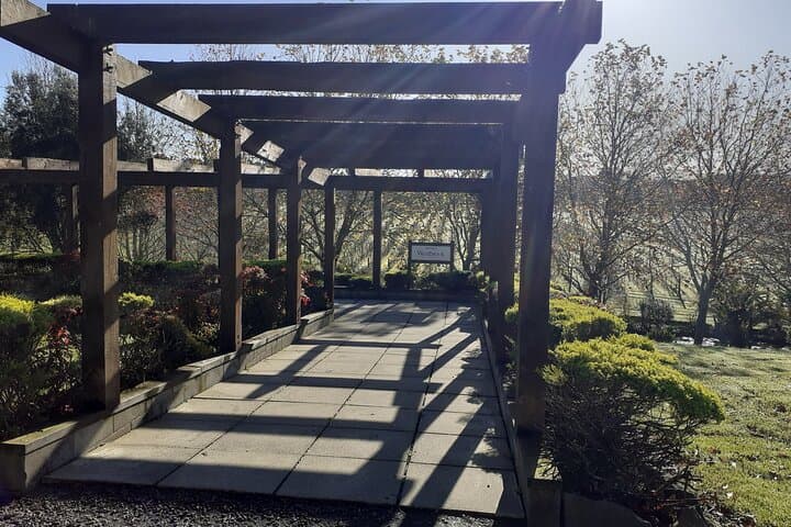 Half-Day Kumeu Wine Tour from Auckland — Boutique Tastings & Gourmet Vineyard Lunch photo 4