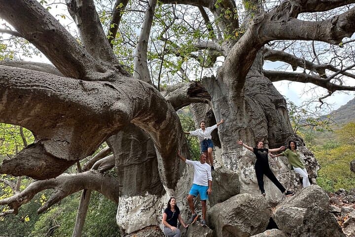 Private Hiking in Salalah Mountains — Spring Swim & Forest Trail photo 5