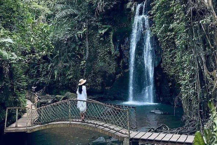 Private Ubud Day Tour — Jungle Swing, Tegalalang Rice Terraces & Ulu Petanu Waterfall photo 1