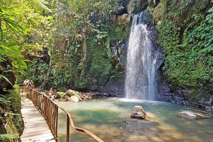Private Ubud Day Tour — Jungle Swing, Tegalalang Rice Terraces & Ulu Petanu Waterfall photo 2