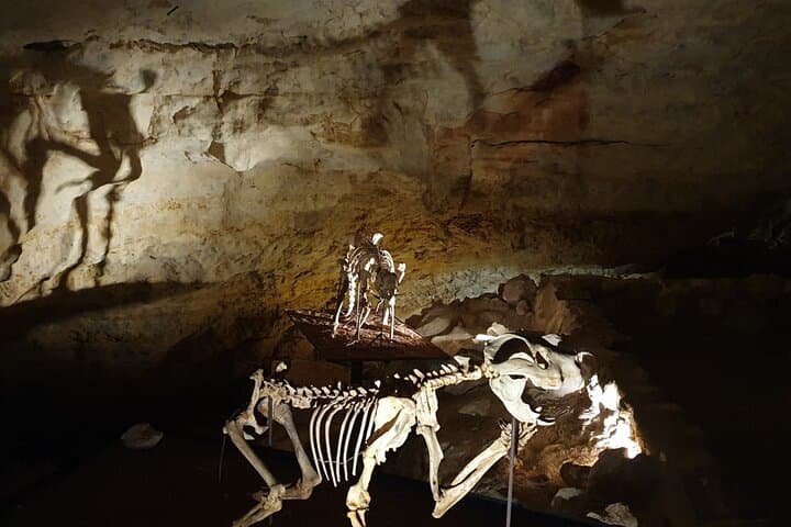 Private Naracoorte Caves Tour — Exclusive Fossil Lab Access & Yallum Park Visit
