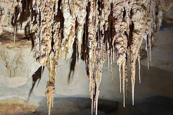 Private Naracoorte Caves Tour — Exclusive Fossil Lab Access & Yallum Park Visit photo 5