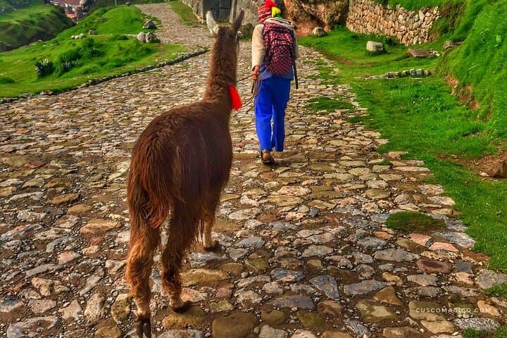 Peru in 8 Days: Cusco, Machu Picchu & High-Andean Hikes photo 4