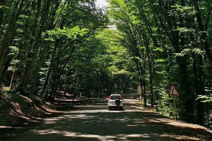 3-Day Private Tour: Baku, Quba, Shahdag & Gabala Forest Mountains photo 4
