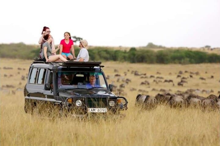 3-Day Masai Mara Safari: Game Drives, Migration Views & Maasai Culture photo 1
