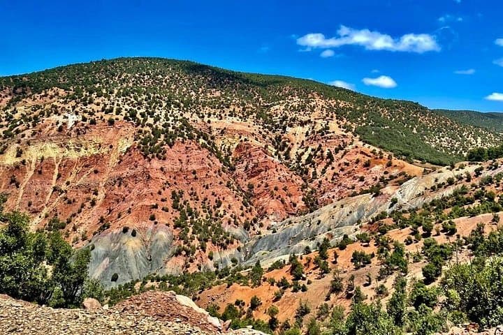 Atlas Daytrip from Marrakech: Kasbah Views & High Atlas Scenic Tour photo 3