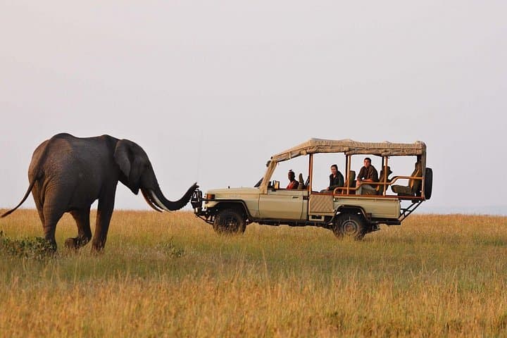 3-Day Masai Mara Safari: Game Drives, Migration Views & Maasai Culture photo 3