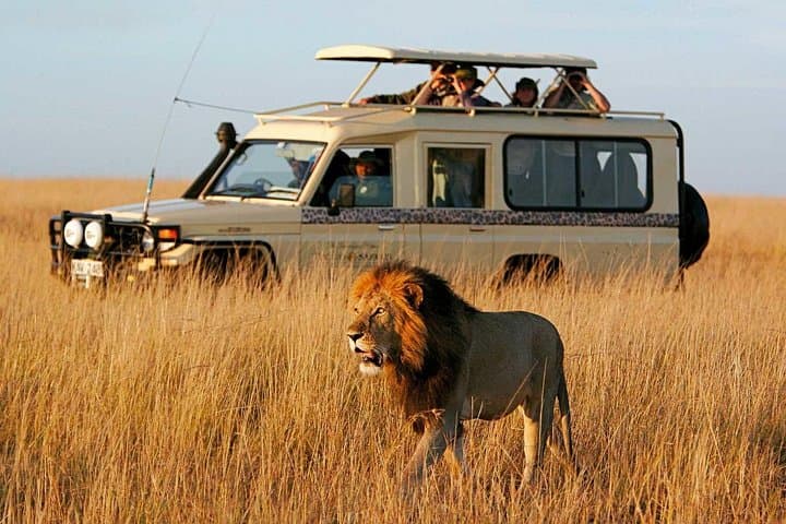 3-Day Masai Mara Safari: Game Drives, Migration Views & Maasai Culture photo 4
