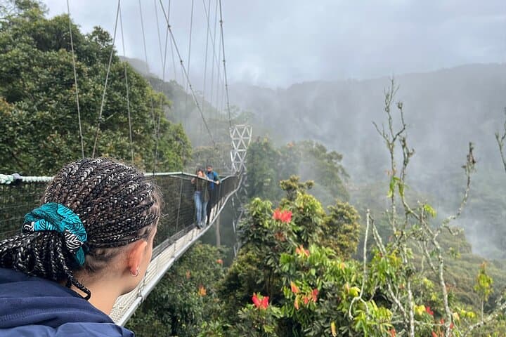 Nyungwe Canopy Walk & Waterfall Day Trip from Kigali — Full-Day Rainforest Adventure