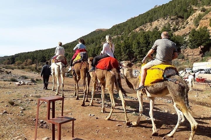 Imlil Valley Day Trip from Marrakech: Atlas Mountains Hike & Berber Lunch photo 6