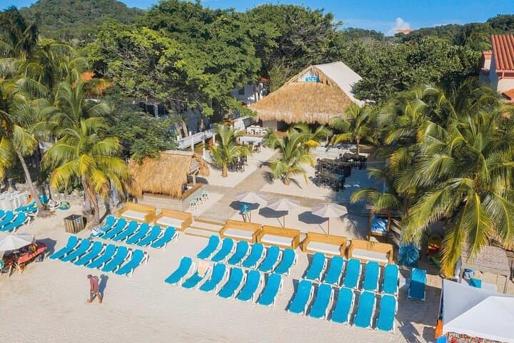 Private West Bay Beach Club Day Pass with Sloth Park Visit on Roatán photo 2