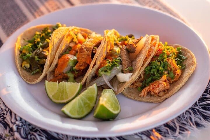 Cabo Sunset Catamaran: Tacos, Margaritas & Sea Lions Cruise photo 5
