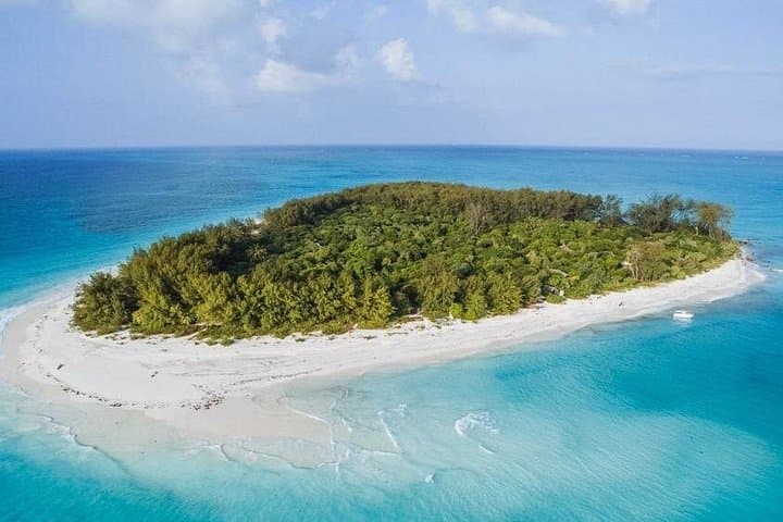 Zanzibar Full-Day: Mnemba, Jozani, Kuza Cave, Paje & The Rock