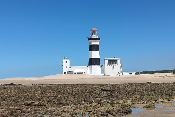 Guided Port Elizabeth Coastal Tour: Penguins, Dolphins & Cape Recife Lighthouse