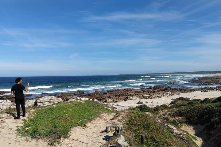 Guided Port Elizabeth Coastal Tour: Penguins, Dolphins & Cape Recife Lighthouse photo 3