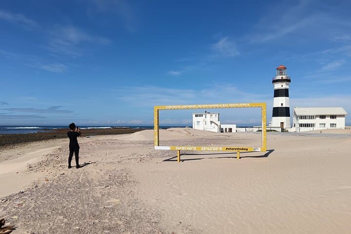Guided Port Elizabeth Coastal Tour: Penguins, Dolphins & Cape Recife Lighthouse photo 4