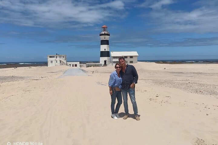 Guided Port Elizabeth Coastal Tour: Penguins, Dolphins & Cape Recife Lighthouse photo 5