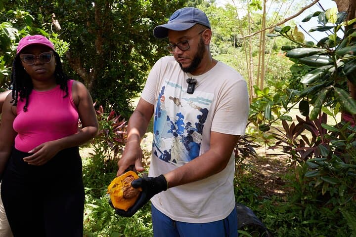 Soma Garden Tropical Fruit Farm Tour & Mermaid's Pool Swim, Dominica photo 2