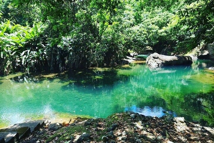 Soma Garden Tropical Fruit Farm Tour & Mermaid's Pool Swim, Dominica photo 5