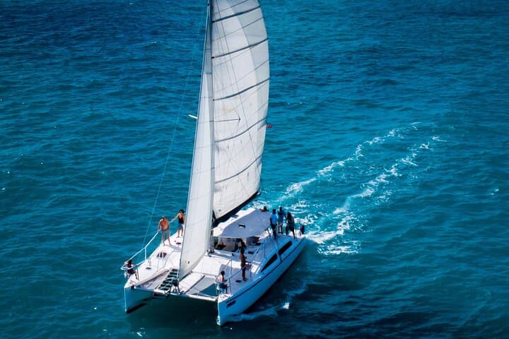 Champagne Dolphin Sail & Key West Reef Snorkel — Small-Group Catamaran Excursion