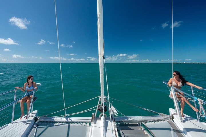 Champagne Dolphin Sail & Key West Reef Snorkel — Small-Group Catamaran Excursion photo 2