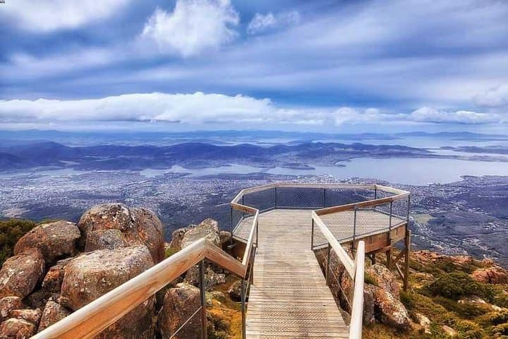 Hobart Signature Shore Excursion: Mt Wellington, Bonorong Wildlife & Coal River Wine Tour photo 3