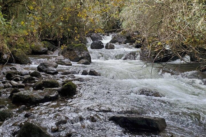 Papallacta Hot Springs and Cayambe-Coca Forest Hike: Thermal Pools & Waterfall Walk photo 5
